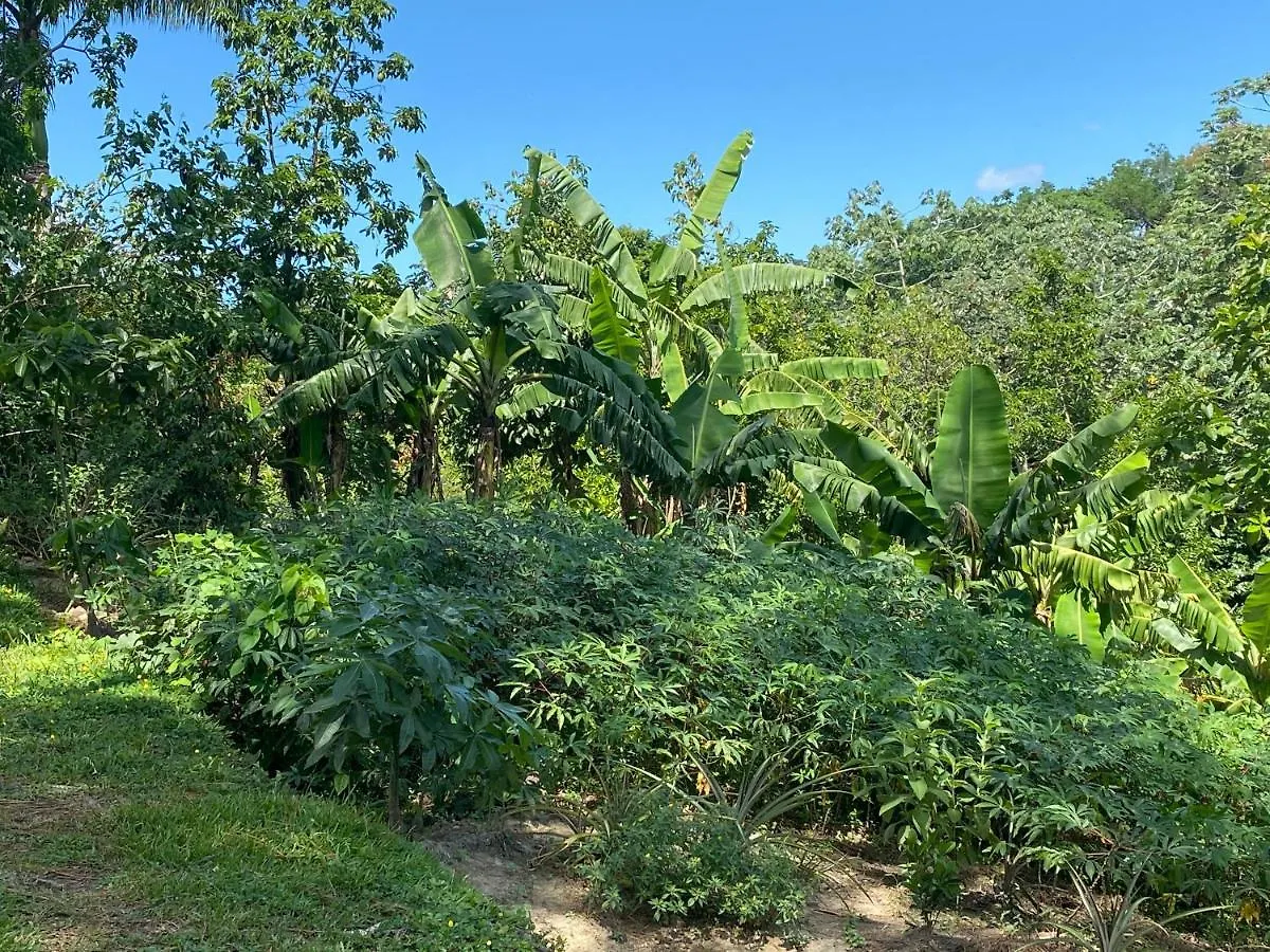 Gaestezimmer In Der Villa Zimmer Jarabacoa 0*,  République dominicaine
